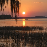 EG_1260733