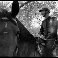 Mounted Cop  1972