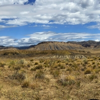 EG_PAN_6555