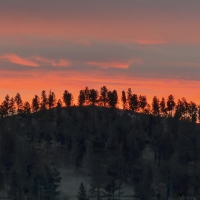 Ridgeline Christmas Day Dawn SE 326 RQP Custer SD